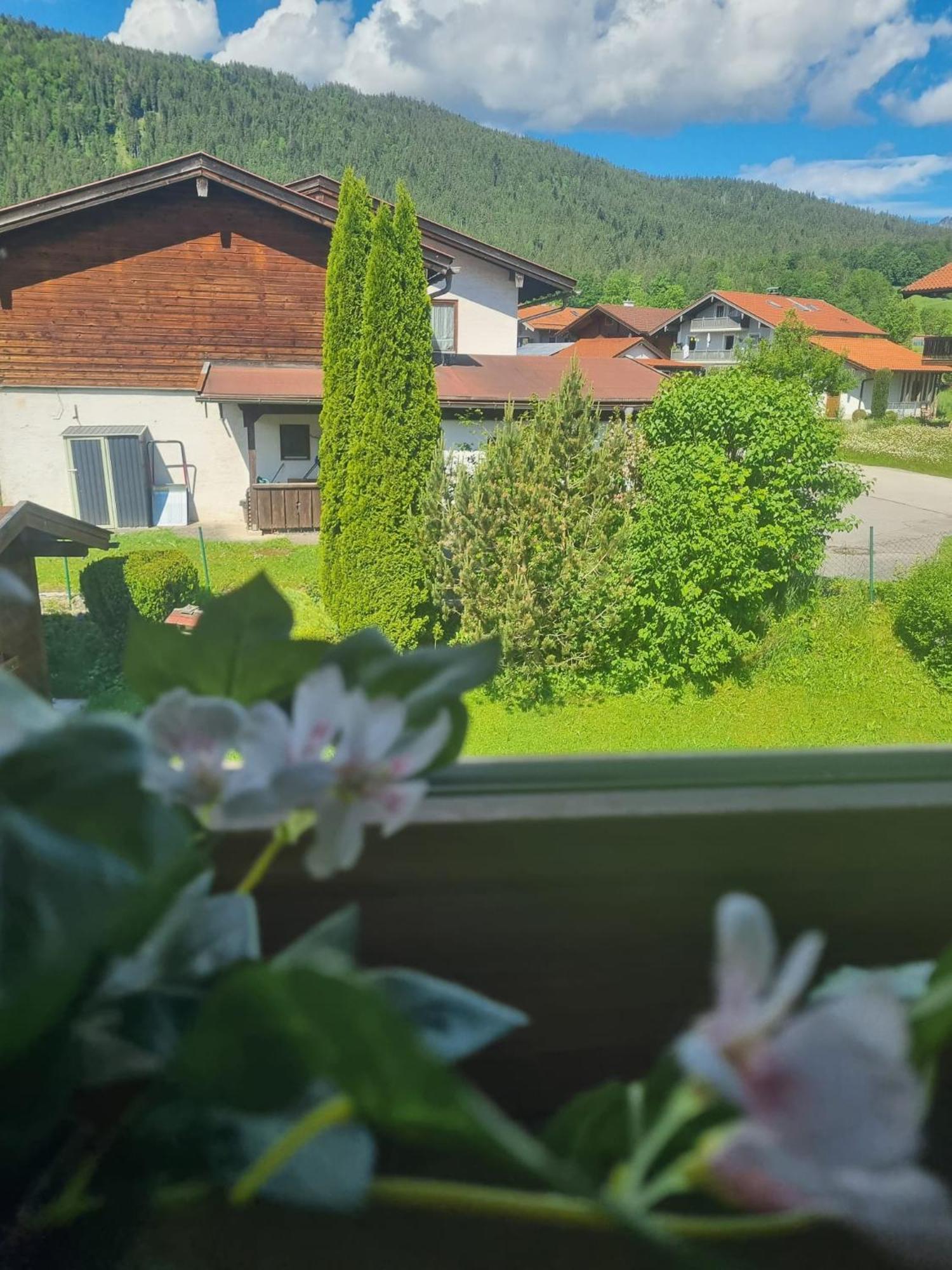 Appartement Elisabeth *